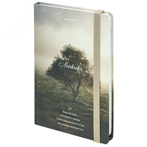 Изображение товара Блокнот с резинкой в клетку 96л, А5 145 х 203 мм, твердая обложка, Nature (шт)