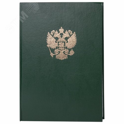 Изображение товара Книга учета 96л, клетка, твердая, бумвинил, офсет, герб, А4 200х290мм, BRAUBERG, зеленая, 130277 (шт)