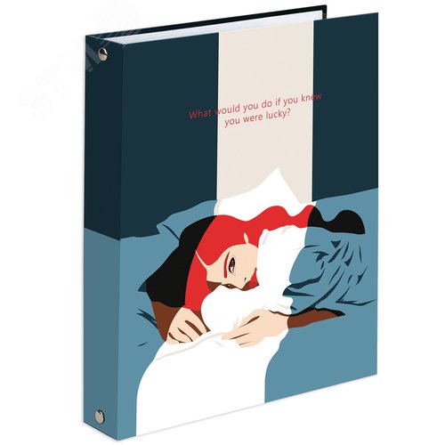 Изображение товара Тетрадь на кольцах А5 175х215мм, 120л, твердый картон, клетка, BRAUBERG, In Dreams, 404084 (шт)