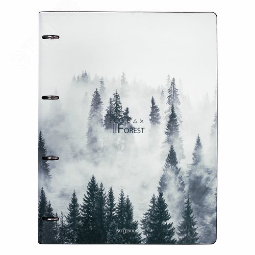 Изображение товара Тетрадь на кольцах БОЛЬШАЯ А4 240х310мм 120л, под кожу, BRAUBERG VISTA, Туман, 404515 (шт)