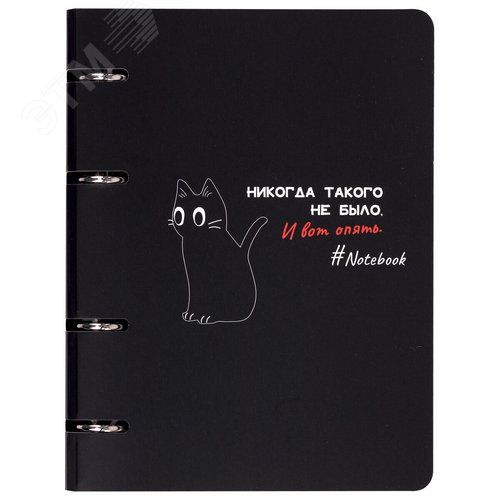 Изображение товара Тетрадь на кольцах А5 160х212мм, 120л, картон, матовая ламинация, клетка, BRAUBERG,Просто Кот,404723 (шт)