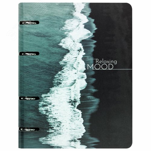 Изображение товара Тетрадь на кольцах А5 160х212мм, 120л, картон, матовая ламинация, клетка, BRAUBERG, Relax, 404725 (шт)