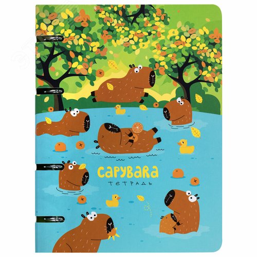 Изображение товара Тетрадь на кольцах А5 160х212мм, 120л, картон, выборочный лак, клетка, BRAUBERG, Капибары, 404731 (шт)