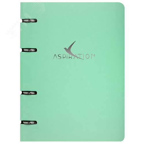 Изображение товара Тетрадь на кольцах А5 160х212мм, 120л, картон, фольга, клетка, BRAUBERG, Pastel, 404734 (шт)