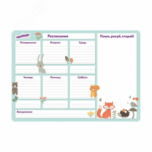 Изображение товара Планинг на холодильник магнитный РАСПИСАНИЕ, 42х30см с маркером и салфеткой, ЮНЛАНДИЯ,237851 (шт)