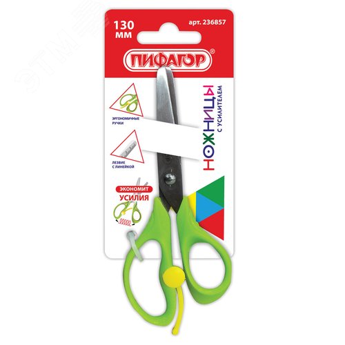 Изображение товара Ножницы ПИФАГОР 130мм, с усилителем, линейкой, зеленые, в упаковке европодвесом, 236857 (шт)