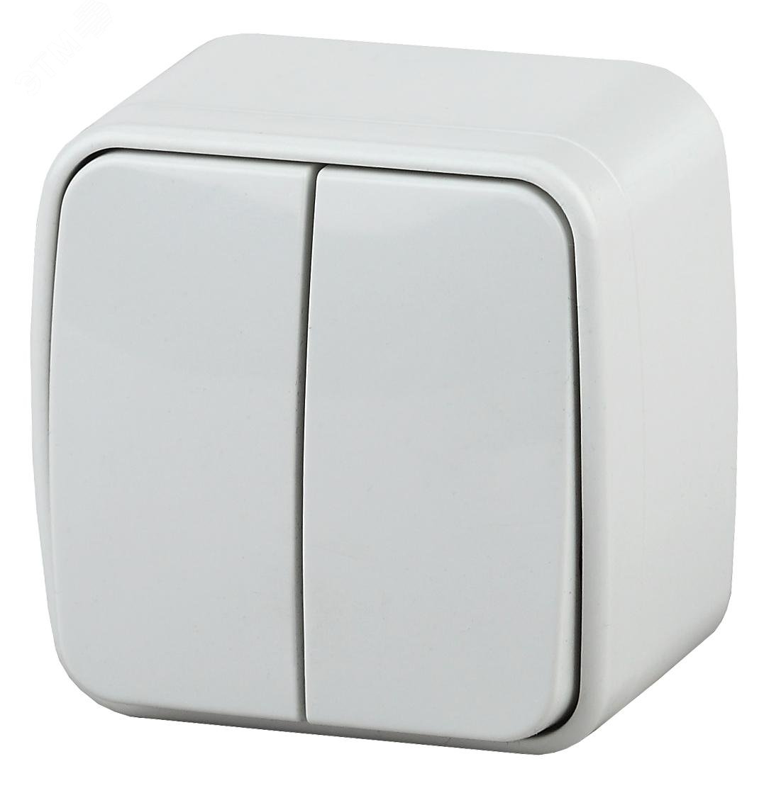 Изображение товара Выключатель двухклавишный наружный (открытой установки) белый 10А 250В винтовые зажимы Intro Polo 3-104-01 (шт)