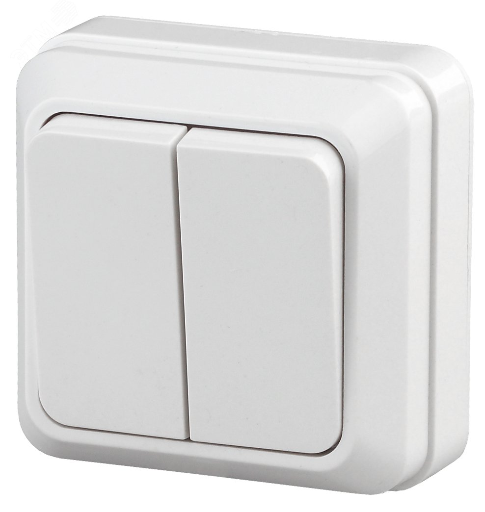 Изображение товара Выключатель двухклавишный наружный Intro Quadro 10А 250В IP20 белый