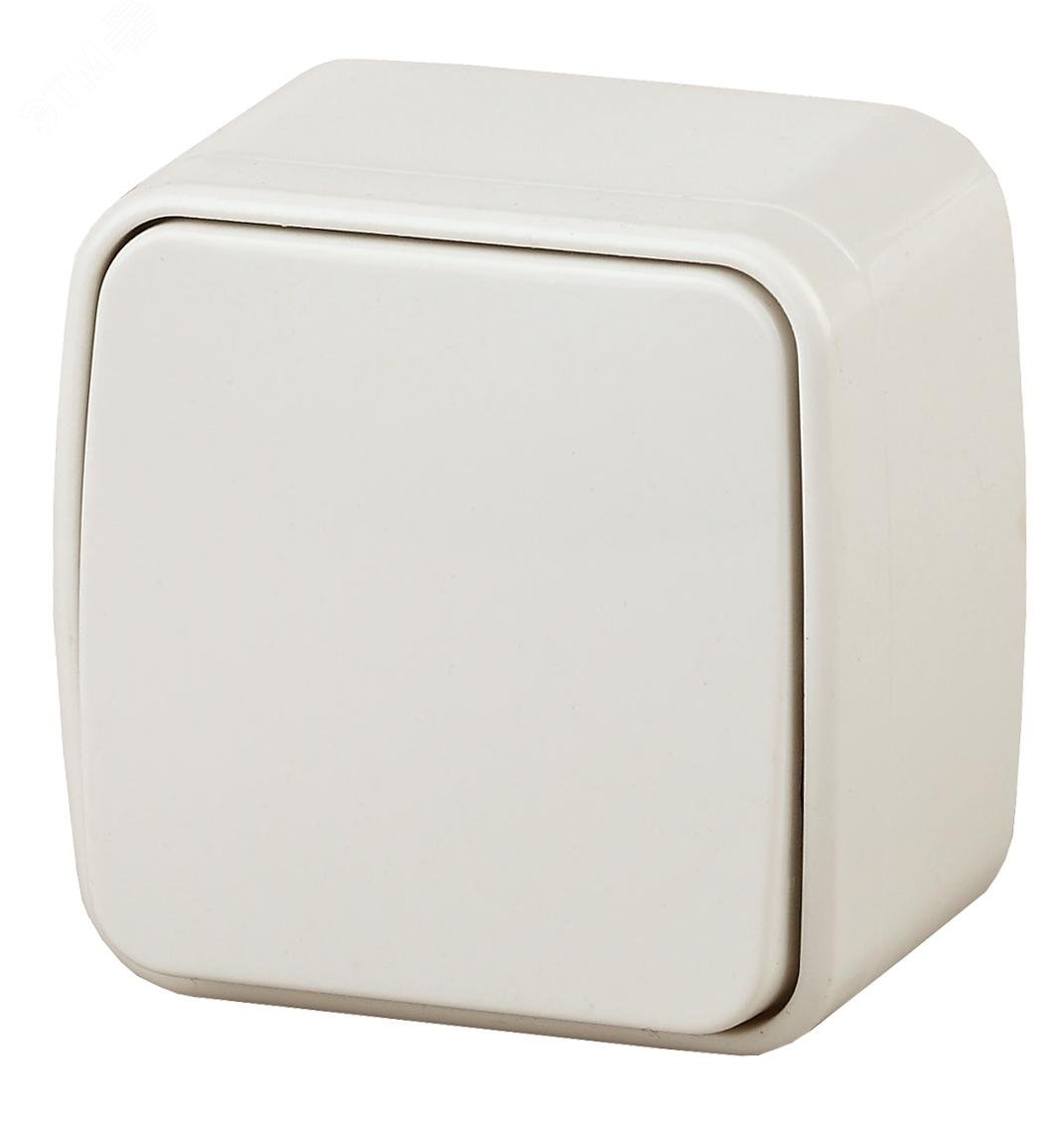 Изображение товара Переключатель проходной 10A 250V серия Intro Polo открытая установка кремовый