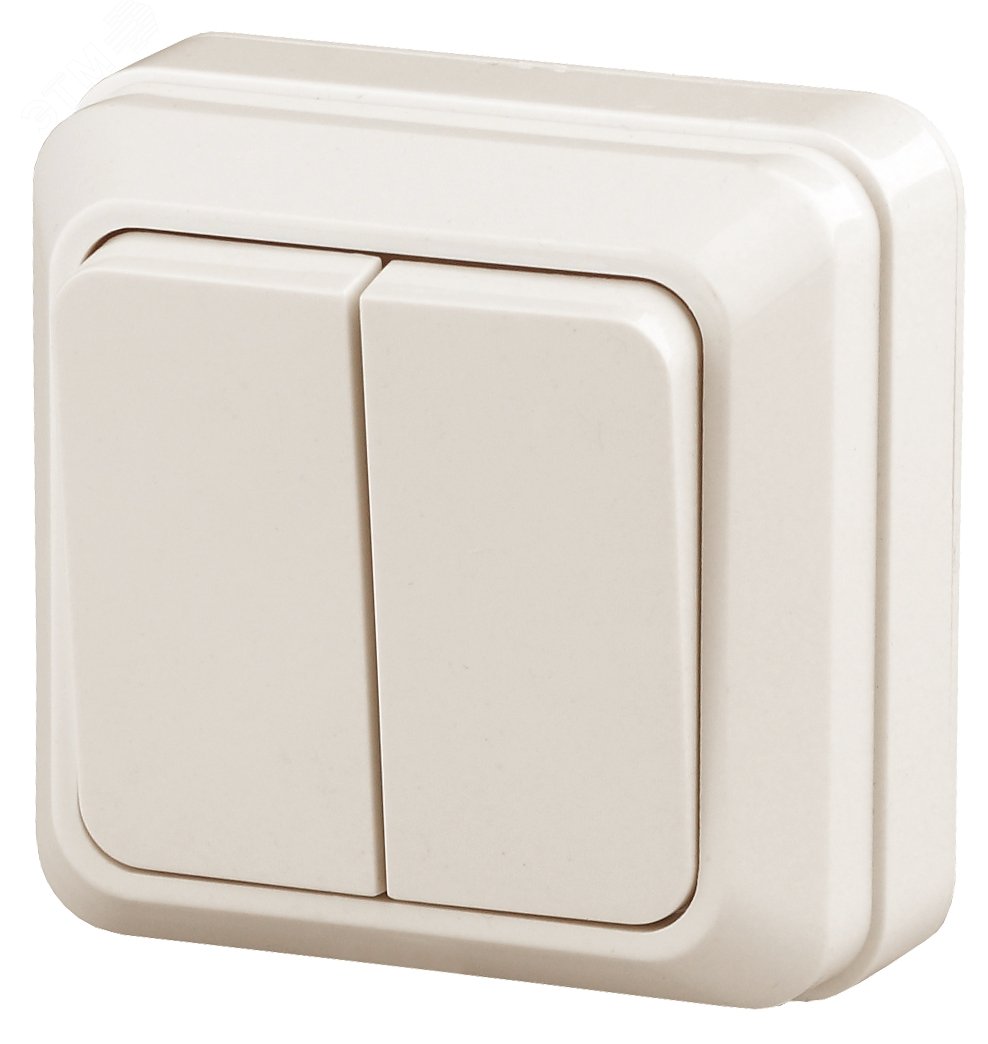 Изображение товара Двухклавишный наружный выключатель Series Intro Quadro 250В 10А слоновая кость
