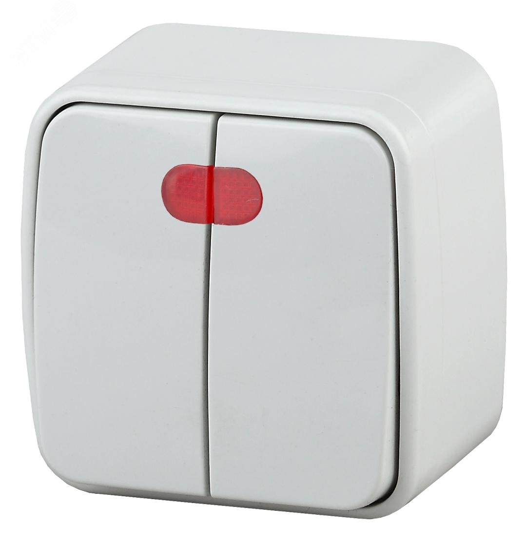 Изображение товара Двухклавишный выключатель с подсветкой серии Intro Polo, 10А, IP20, белый