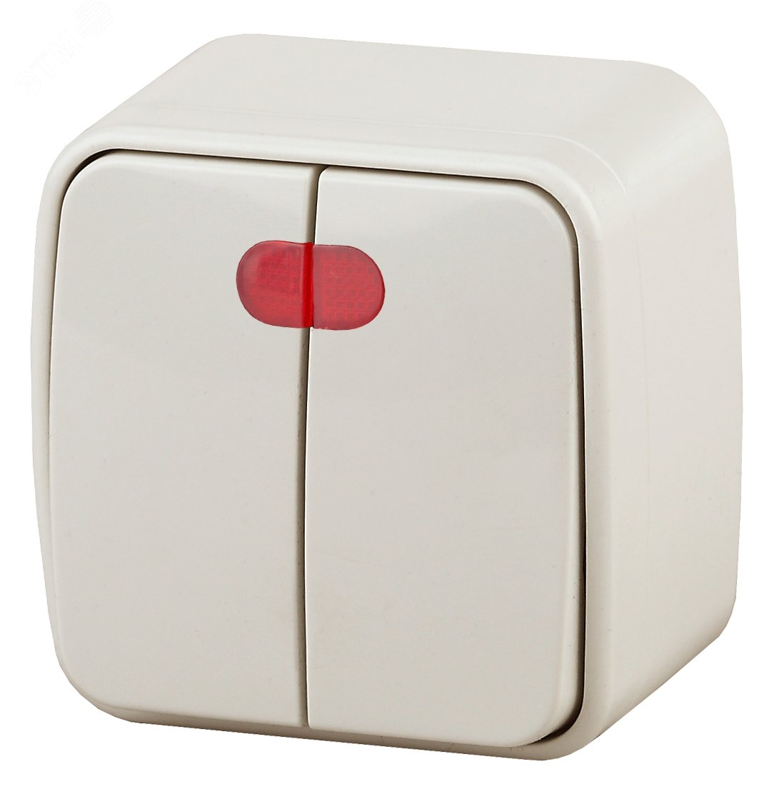 Изображение товара Двухклавишный наружный выключатель Intro Polo с подсветкой, IP20, 250В