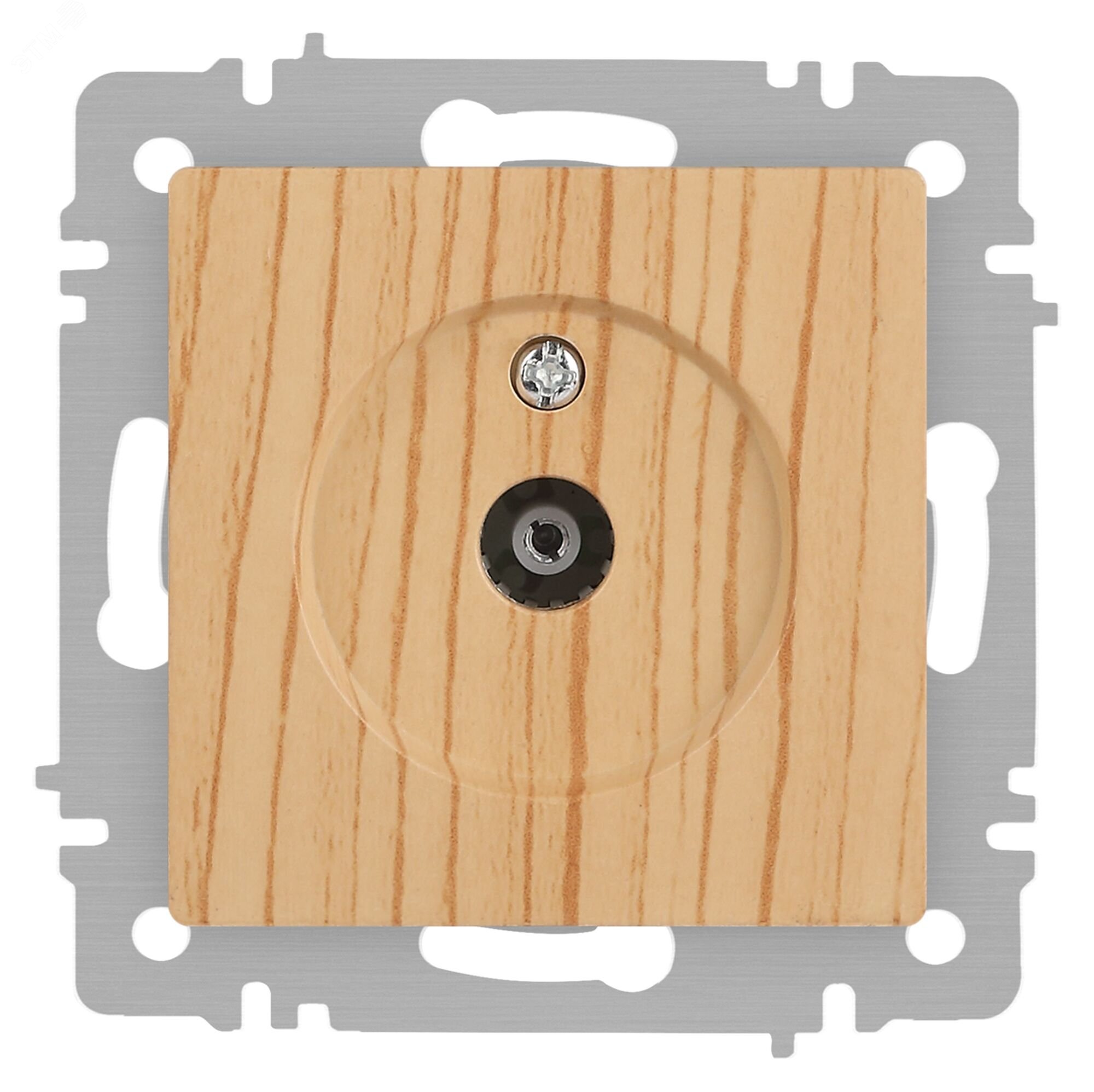 Изображение товара Розетка телевизионная Intro Accent 6-301-11 IP20 сосна для скрытого монтажа