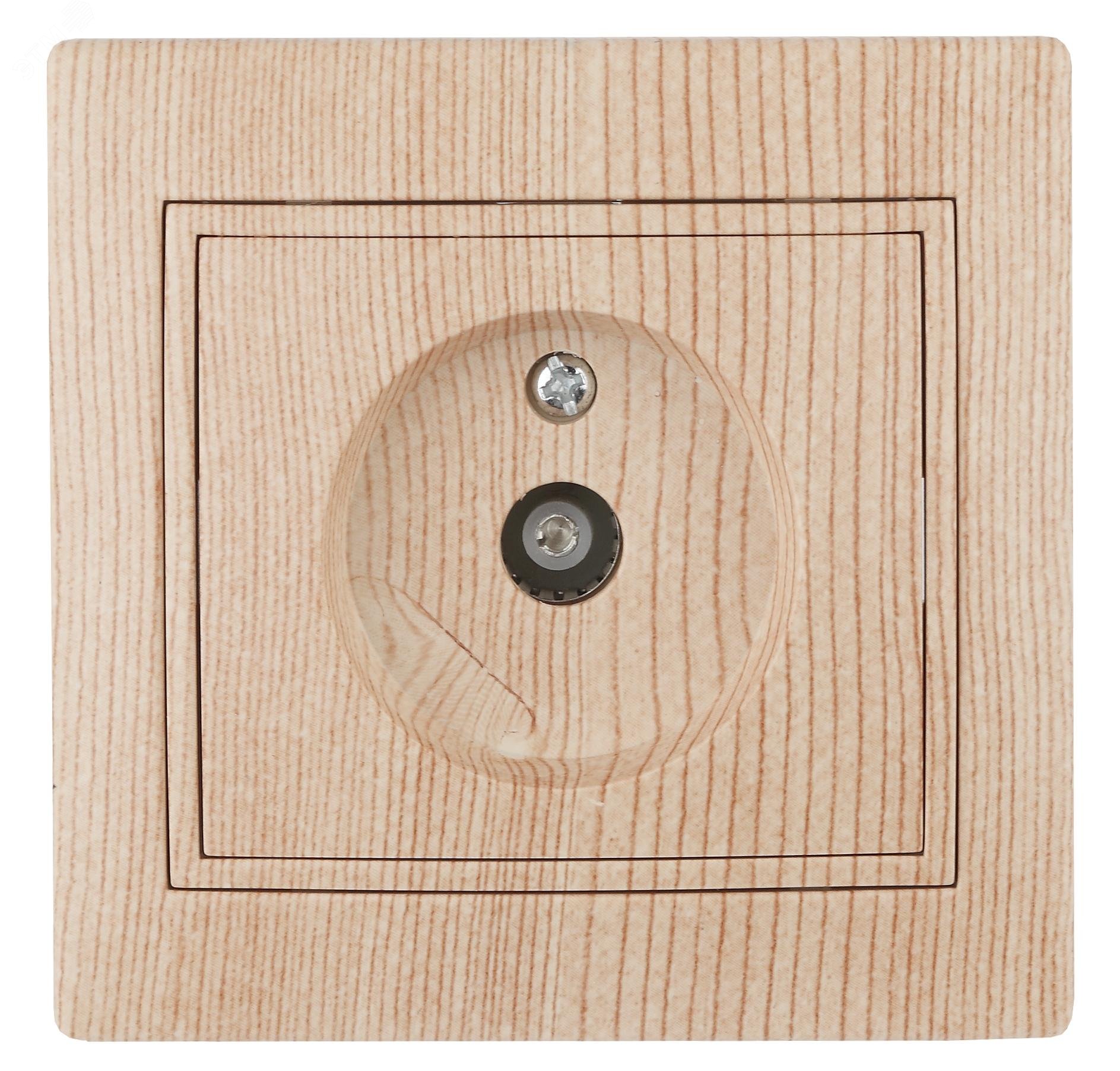 Изображение товара Розетка TV одиночная Intro Plano скрытая установка цвет сосна 1-301-11