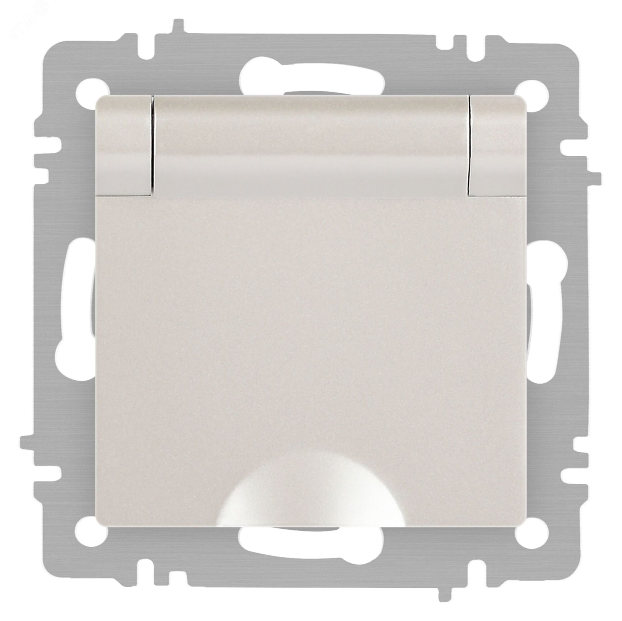 Изображение товара Розетка однофазная скрытого монтажа с заземлением и крышкой Intro Accent 16А IP20 перламутр