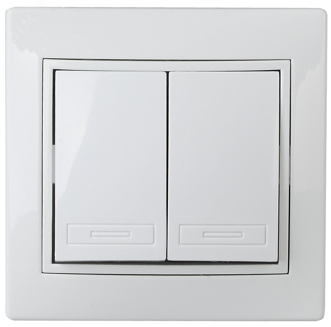 Изображение товара Выключатель двухклавишный Intro Plano 1-104-01 10А 250В белый