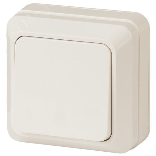 Изображение товара Выключатель одноклавишный наружный (открытой установки) слоновая кость 10А 250В Intro Quadro 2-101-02 (шт)