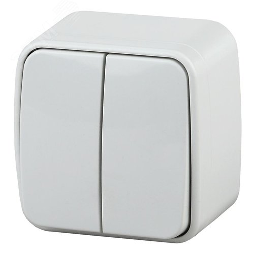 Изображение товара Выключатель двухклавишный наружный (открытой установки) белый 10А 250В Intro Polo 3-104-01 (шт)