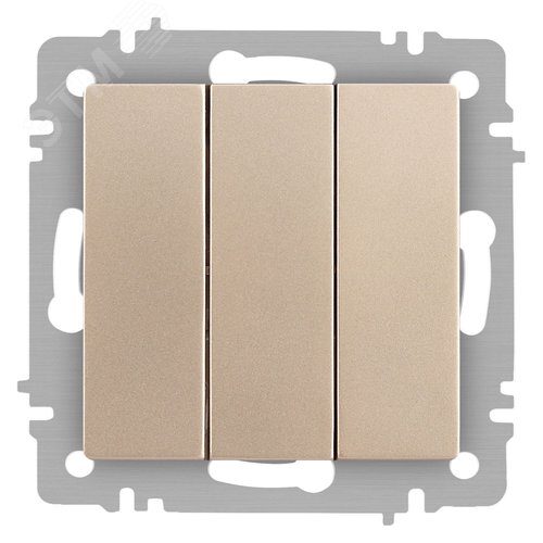 Изображение товара Выключатель трехклавишный, в рамку (скрытого монтажа) алюминий 10А 250В винтовые зажимы Intro Accent 6-106-04 (шт)