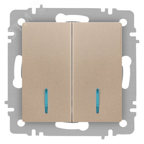 Изображение товара Выключатель двухклавишный, в рамку (скрытого монтажа) с подсветкой слоновая кость 10А 250В винтовые зажимы Intro Accent 6-105-04 (шт)
