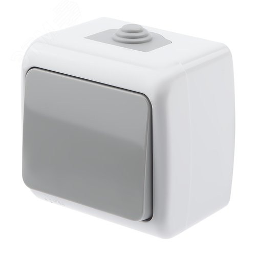 Изображение товара Выключатель Intro Atlantic 5-101-03 10А-250В, IP54, открытой установки, серый (шт)