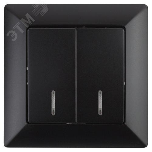 Изображение товара Выключатель двухклавишный скрытого монтажа с подсветкой антрацит 10А 250В Intro Solo 4-105-05 (шт)