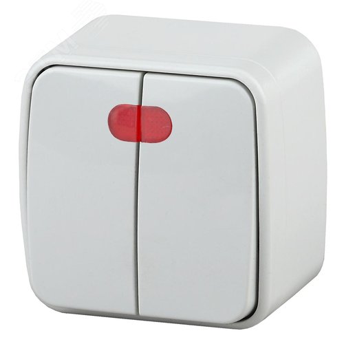 Изображение товара Выключатель двухклавишный наружный (открытой установки) с подсветкой белый 10А 250В винтовые зажимы Intro Polo 3-105-01 (шт)