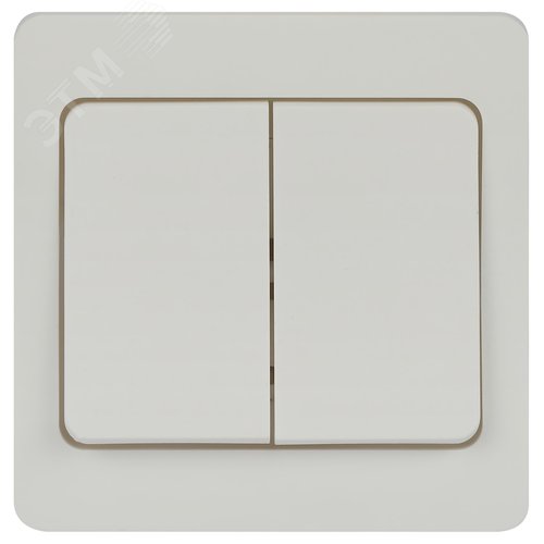 Изображение товара Выключатель двухклавишный скрытого монтажа белый 10А 250В винтовые зажимы Intro Style 7-104-01 (шт)