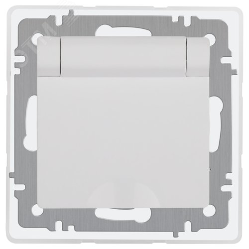 Изображение товара Розетка однофазная скрытого монтажа, в рамку с заземлением со шторками перламутр с крышкой 16А 250В IP20 винтовые зажимы 6-201-06 Intro Accent (шт)