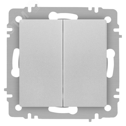 Изображение товара Выключатель двухклавишный, в рамку (скрытого монтажа) сталь 10А 250В винтовые зажимы Intro Accent 6-104-03 (шт)