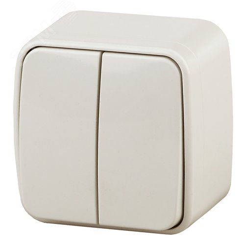 Изображение товара Выключатель двухклавишный наружный (открытой установки) слоновая кость 10А 250В Intro Polo 3-104-02 (шт)
