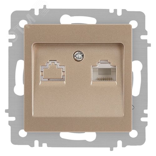 Изображение товара Розетка Intro Accent 6-303-04 информационная RJ45, IP20, СУ, шампань (шт)