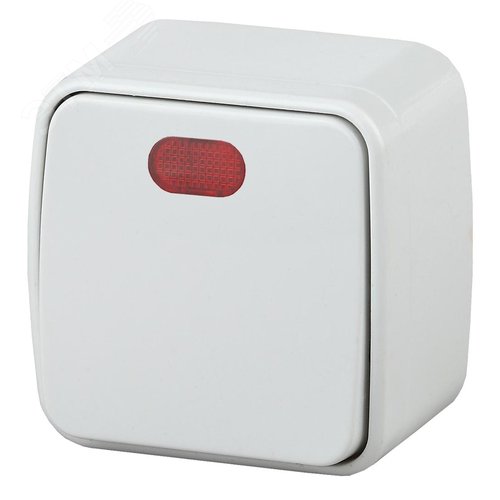 Изображение товара Выключатель одноклавишный наружный (открытой установки) с подсветкой белый 10А 250В винтовые зажимы Intro Polo 3-102-01 (шт)