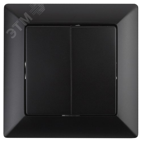 Изображение товара Выключатель двухклавишный скрытого монтажа антрацит 10А 250В Intro Solo 4-104-05 (шт)