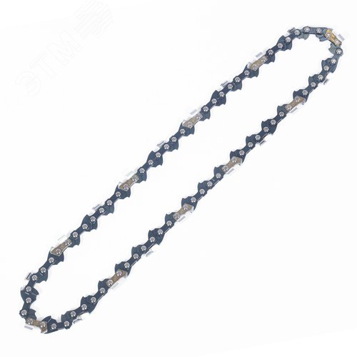 Изображение товара Цепь для высотореза/сучкореза Greenworks 25 см, (2954007) (шт)