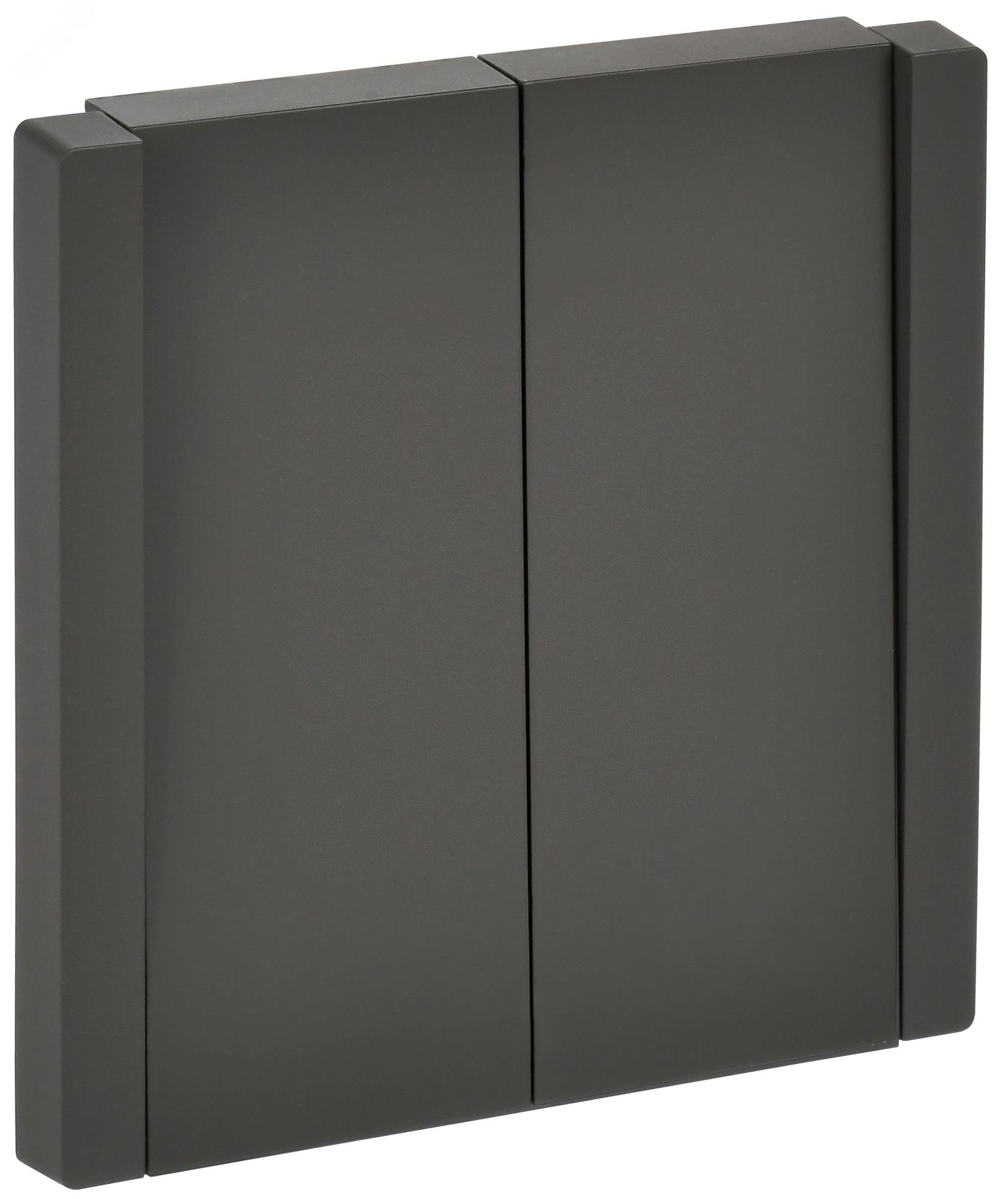 Изображение товара FORTE&PIANO Выключатель 2-клавишный проходной 10А FP307 серый IEK (шт)