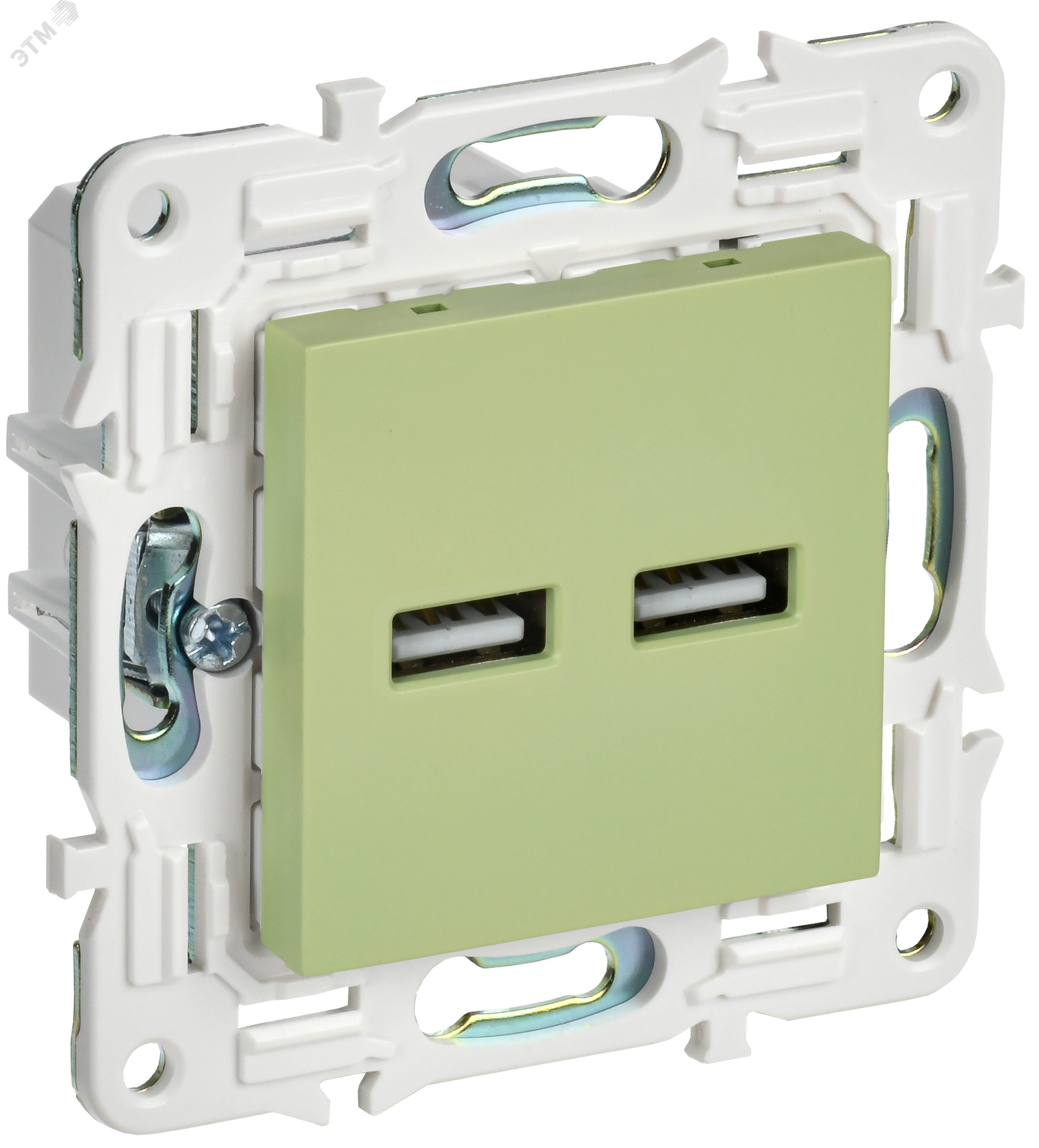 Изображение товара SKANDY Розетка USB A+A 3,1А SK-R15G мятный IEK