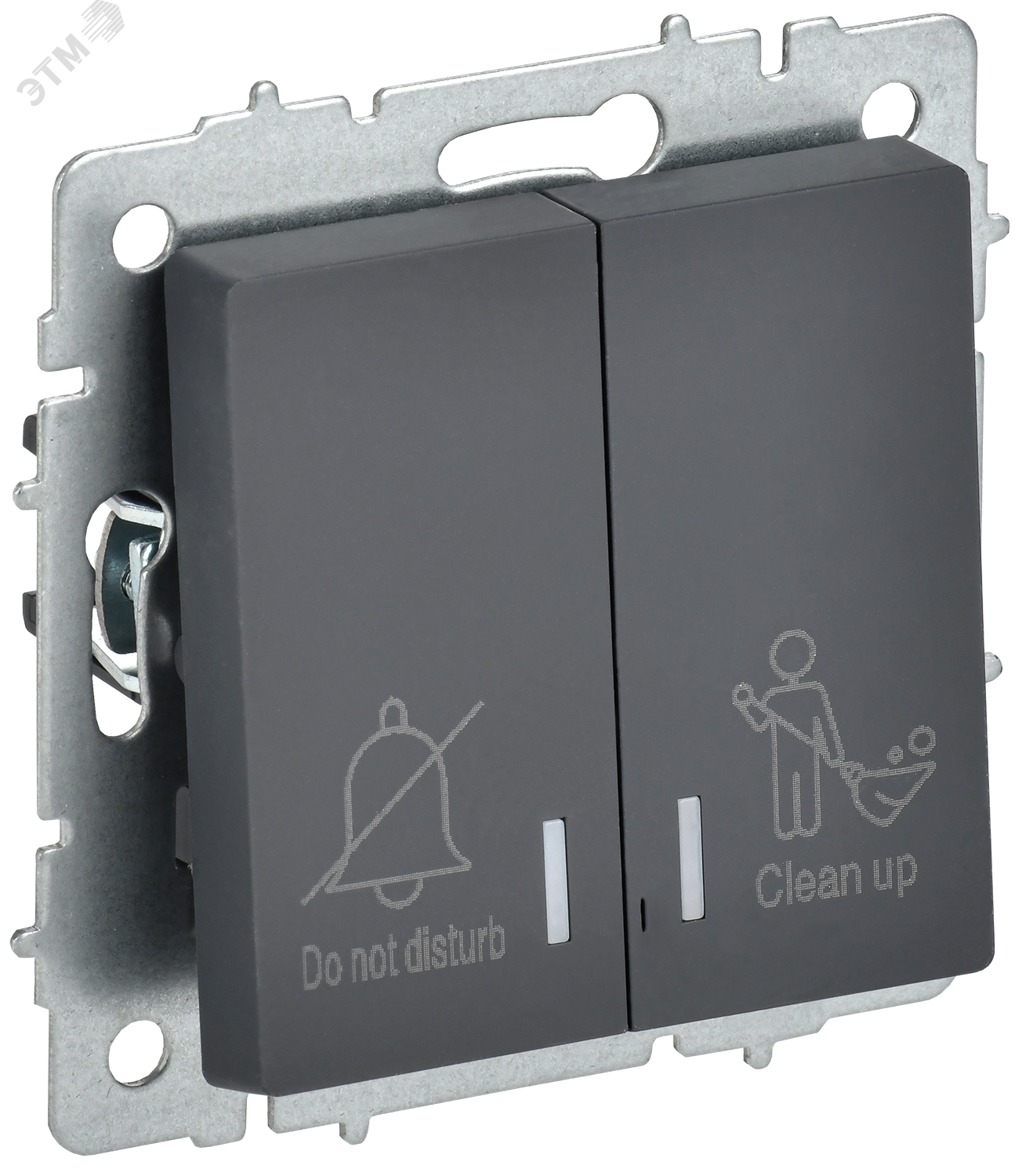 Изображение товара BRITE Выключатель 2-клавишный с индикацией для отелей 10А ВС10-2-9-БрГ графит IEK (шт)