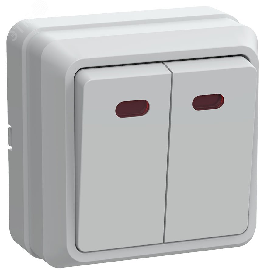 Изображение товара Выключатель 2-клавишный с индикацией, белый, 10А, IP20, серия OKTAVA