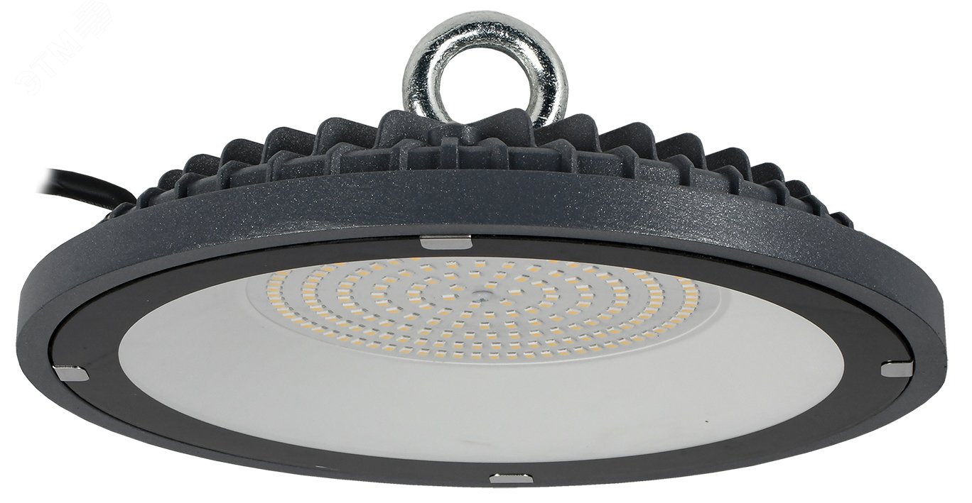 Изображение товара Промышленный светильник для высоких пролетов ДСП 4022 100Вт IP65