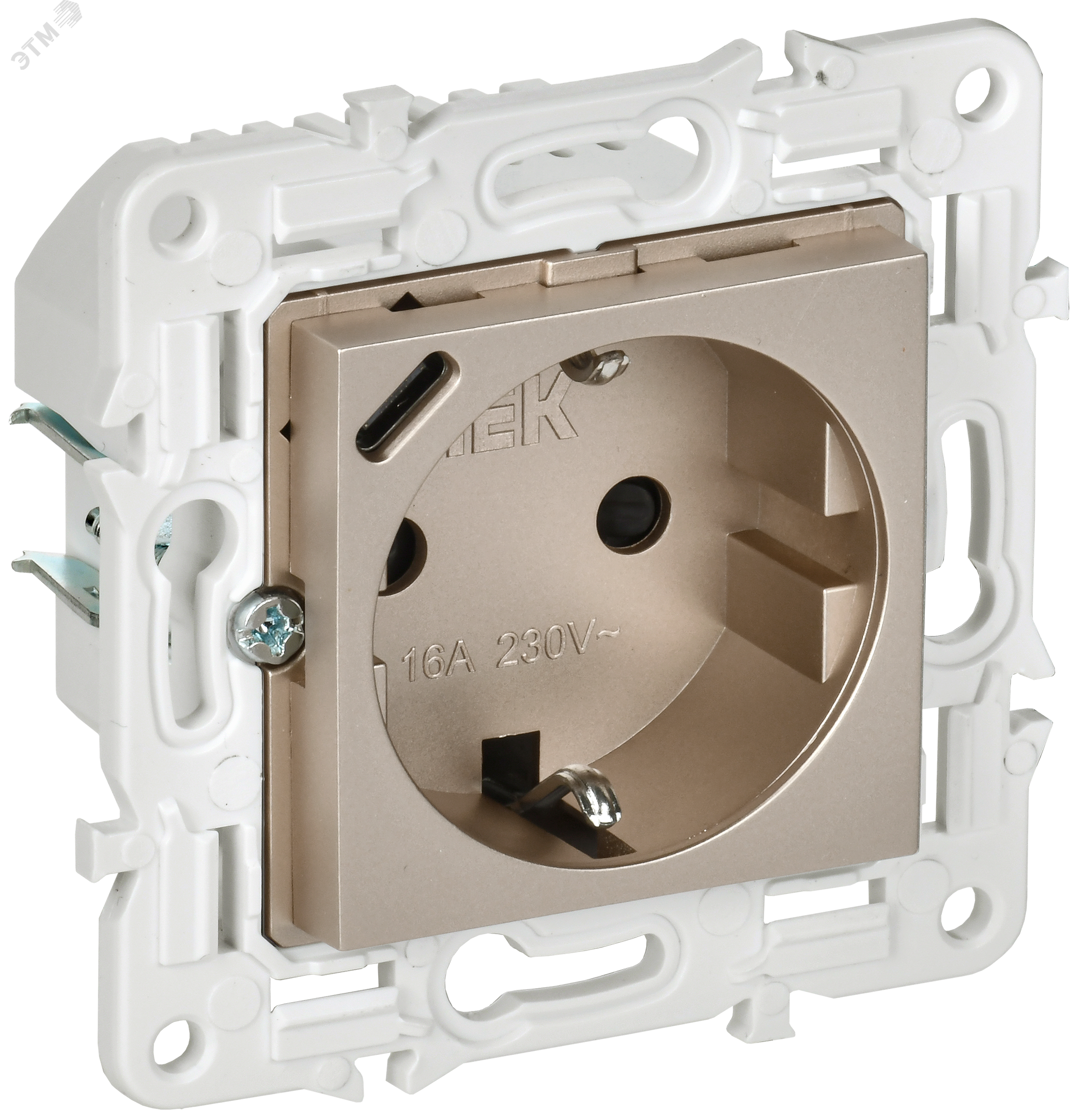 Изображение товара SKANDY Розетка с заземлением и USB-C в цвете шампань