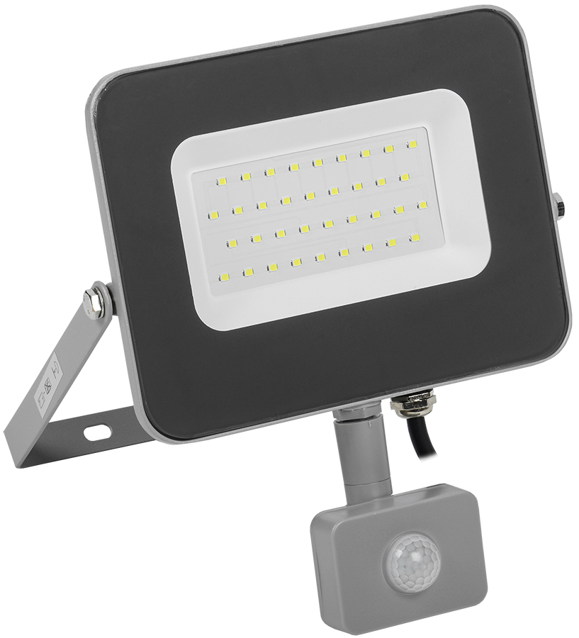 Прожектор СДО 07-30Д светодиодный серый с ДД IP54