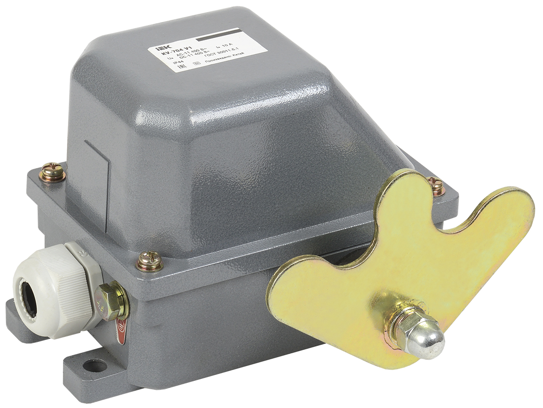 Выключатель концевой КУ-704 У1, W- образный рычаг, 10А, IP44, 2 электрических цепи