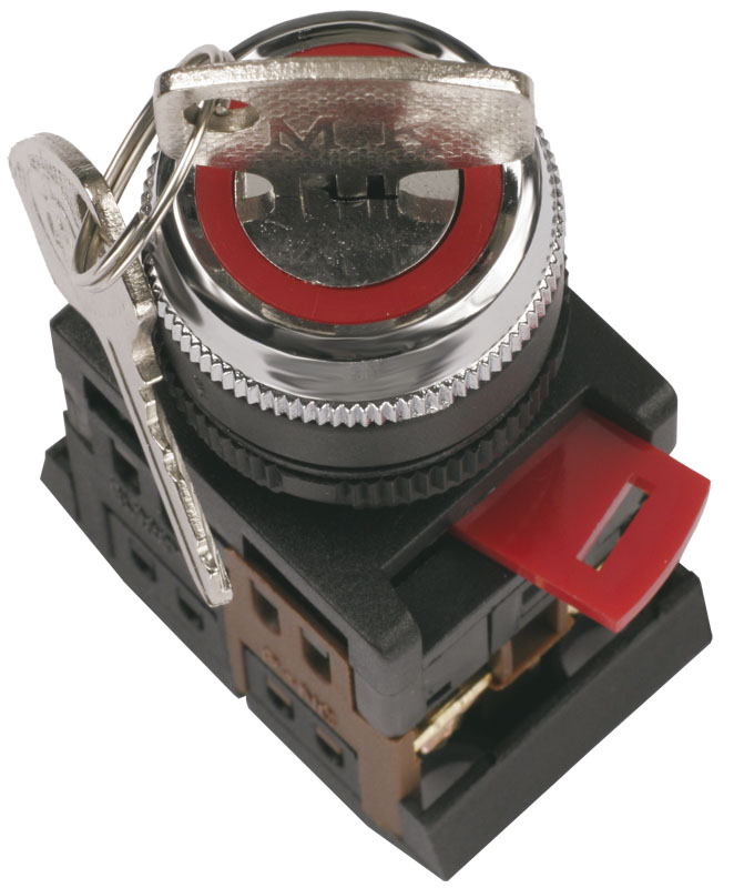 Переключатель AKS-22-2 с ключом 2 позиции I-O черный