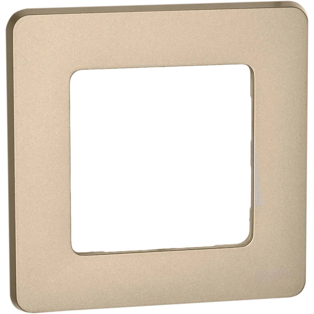 Рамка 1-местная шампань INSPIRIA