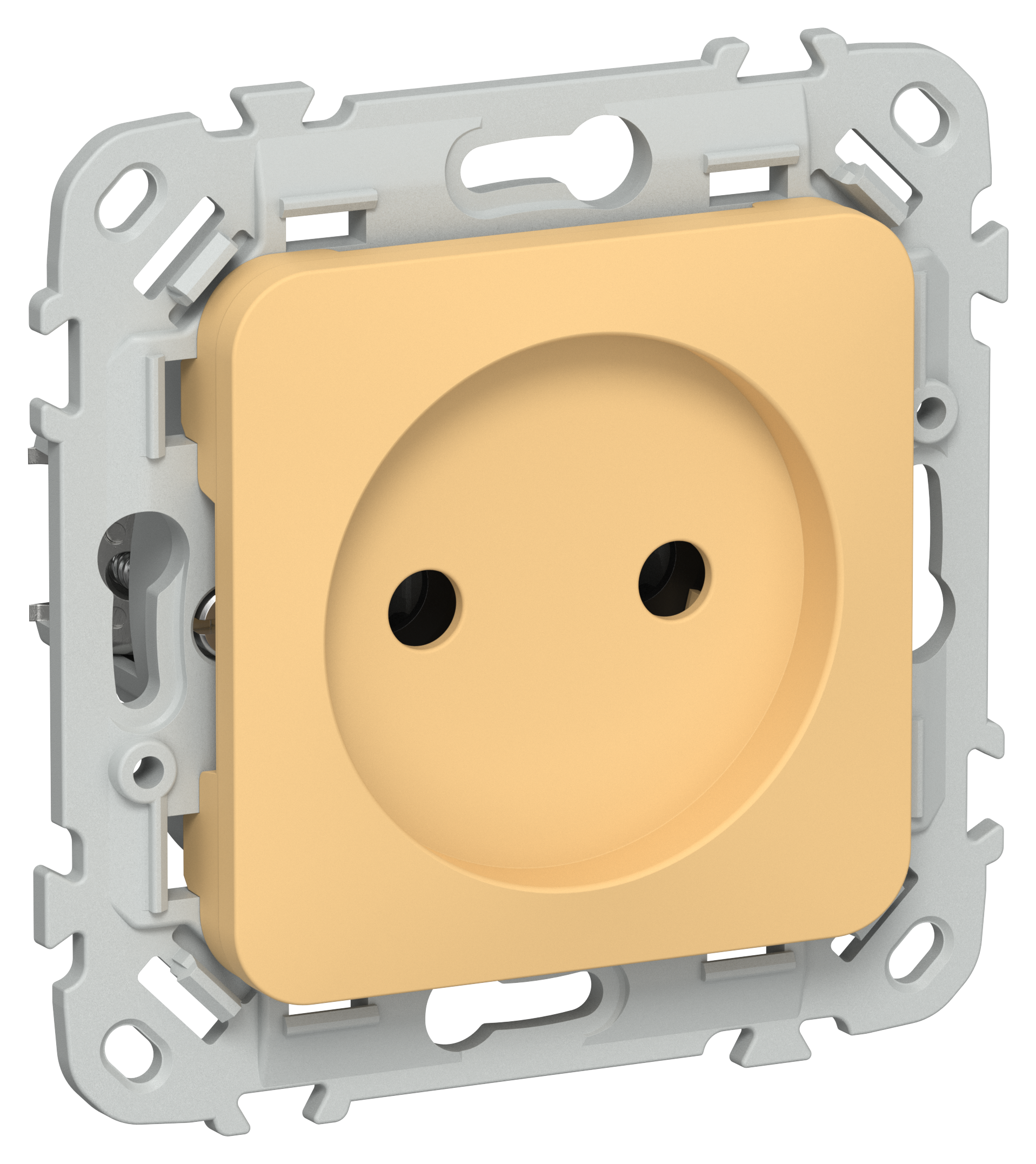 FLITE Розетка без заземления без защитных шторок безвинтовое крепление 10А РС01-1-ФлЗ золотарник IEK