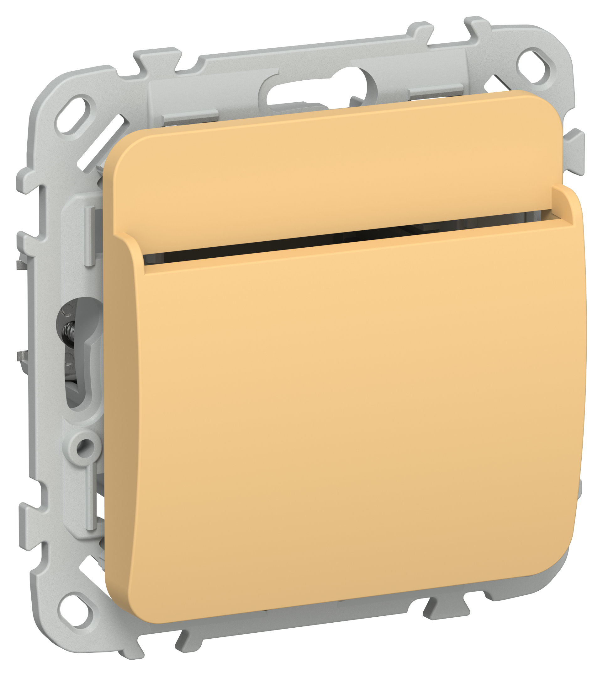 FLITE Выключатель карточный 30А ВК-0-ФлЗ золотарник IEK