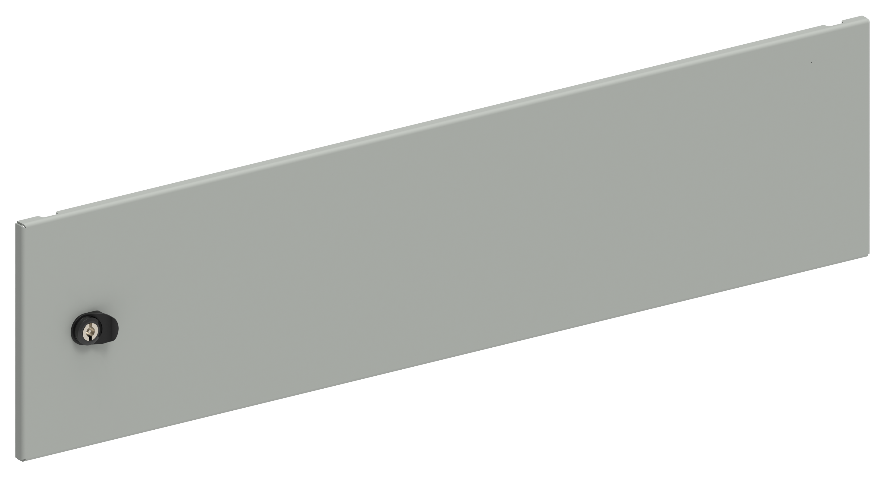 FORMAT Дверь секционная внешняя 250х1000мм IEK