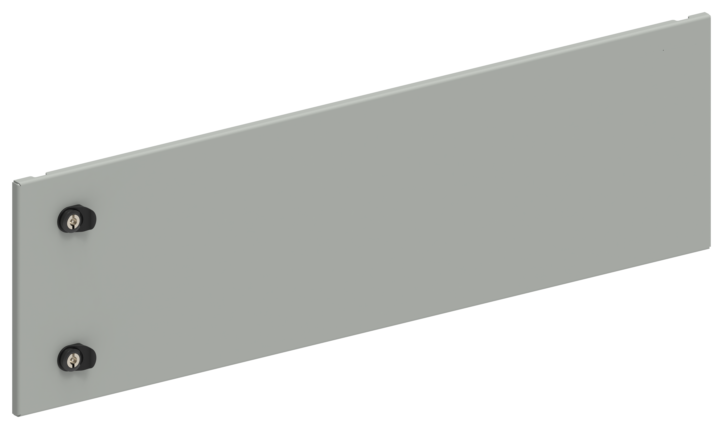 FORMAT Дверь секционная внешняя 300х1000мм IEK