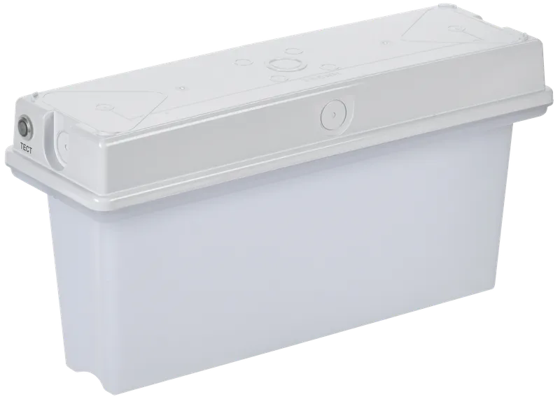 Светильник аварийный ССА1010 3ч универсальный IP65